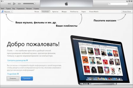 Itunes что это такое на айфоне списали деньги